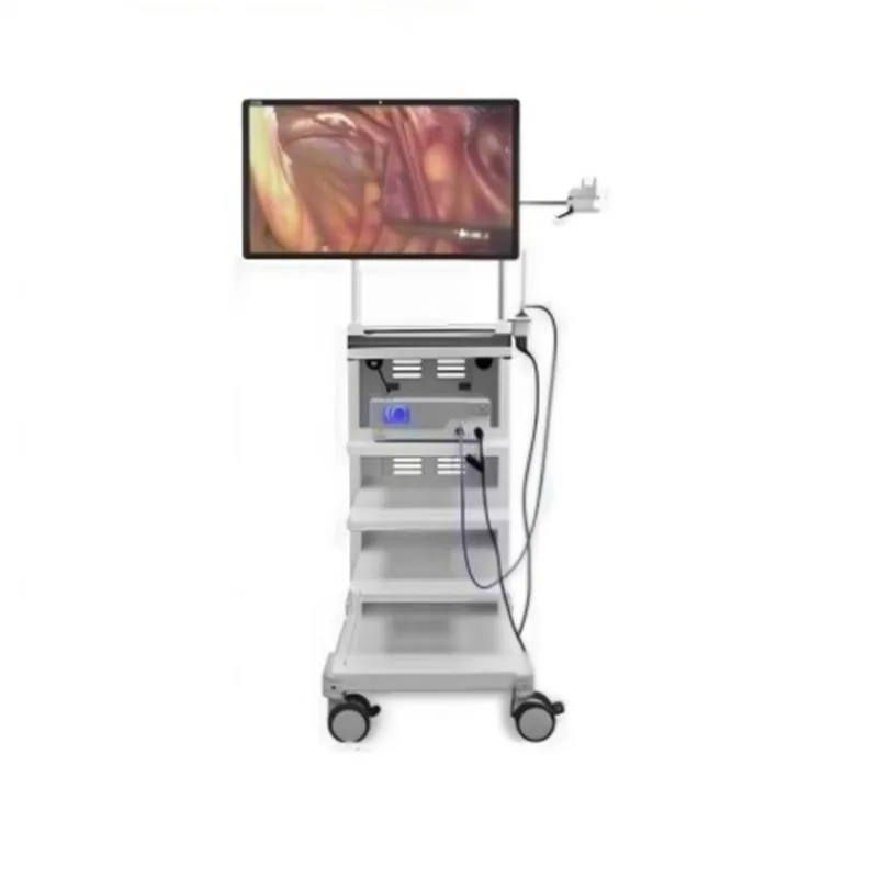 Monitor medico chirurgico 4K da 55 pollici