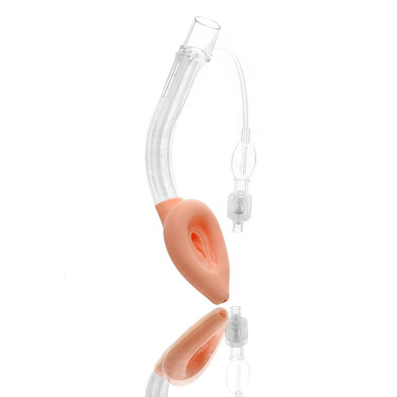 Double-Lumen Silicone Laryngeal Mask
