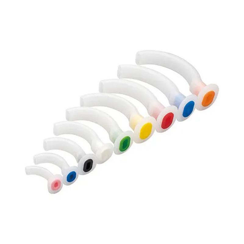 Vie aeree orofaringee